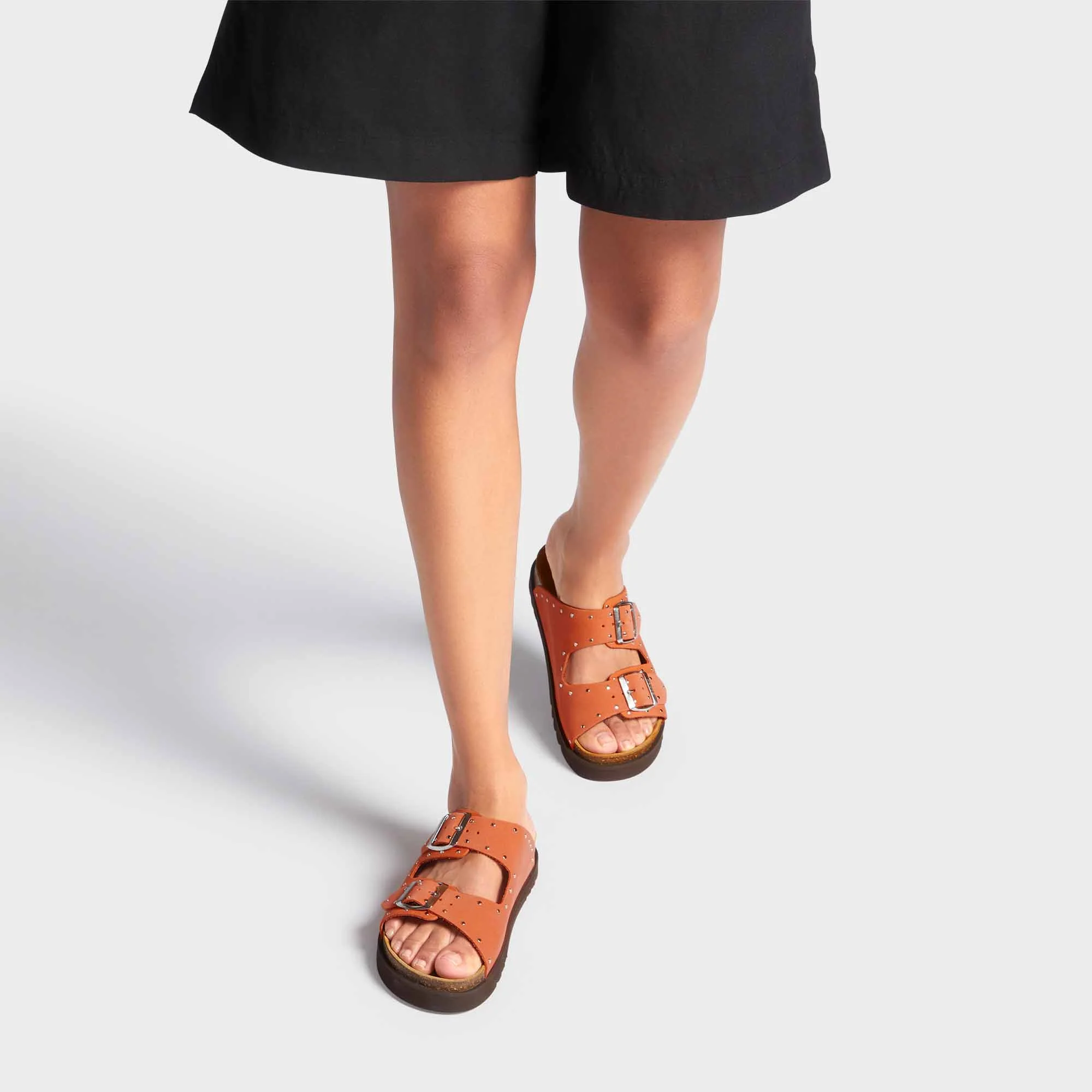 Beatriz - Image 5