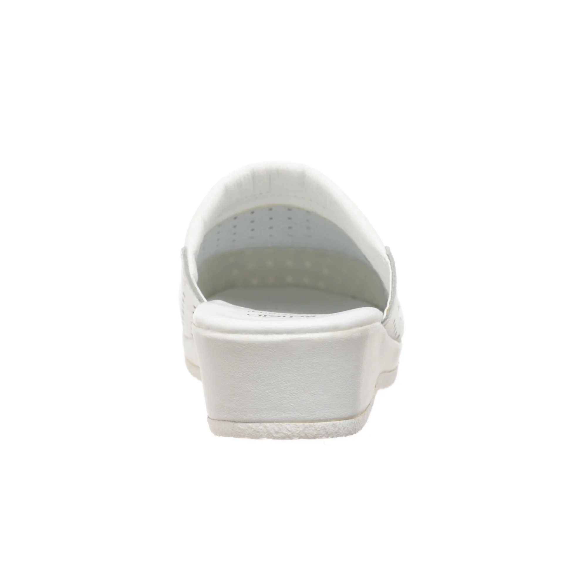 Clog Backguard - Image 4
