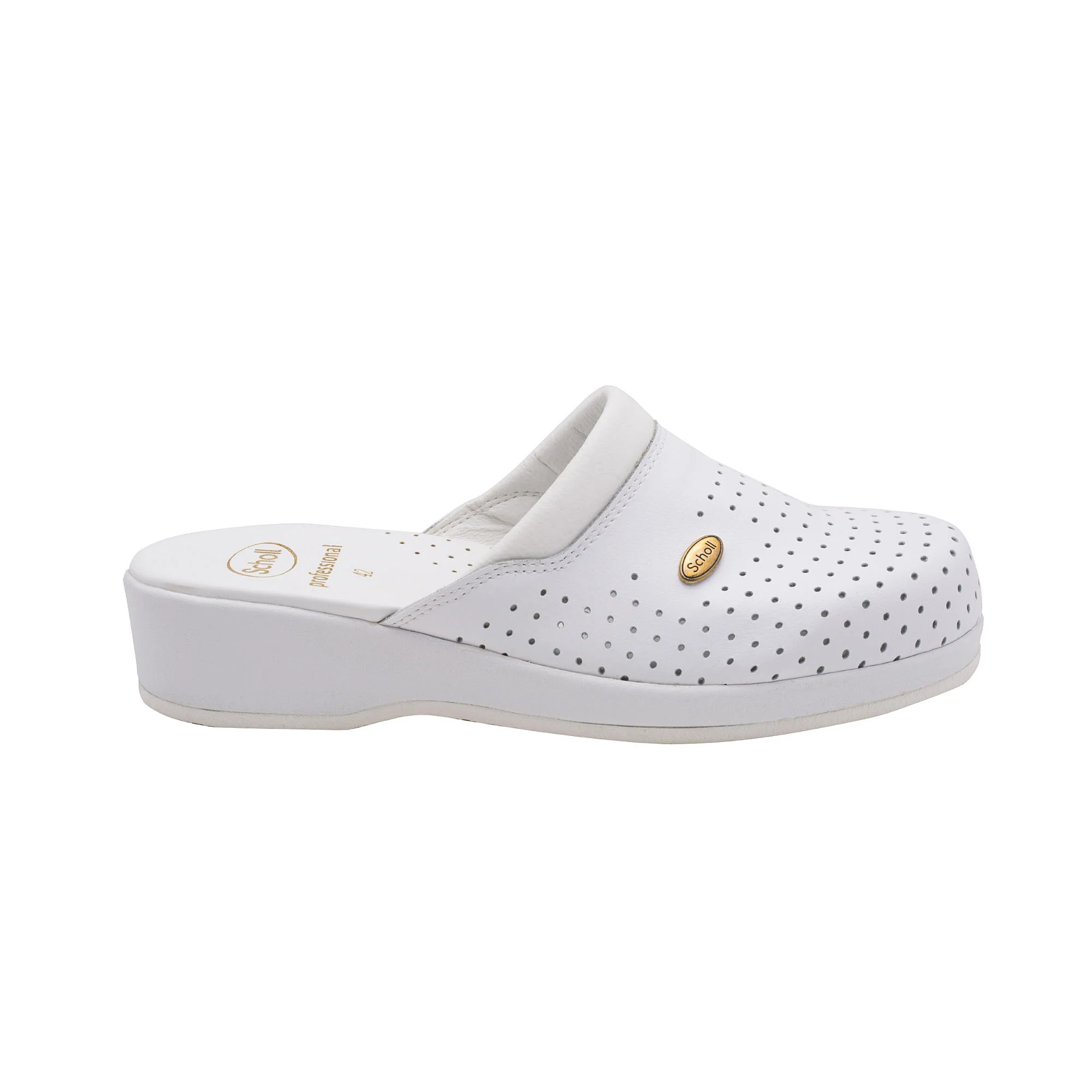 Clog Backguard - Image 6