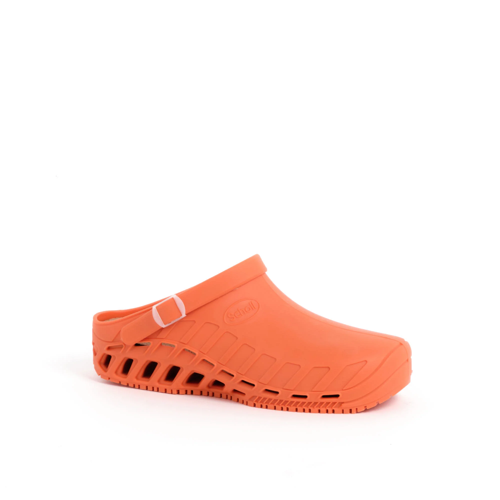 CLOG EVO - Image 2