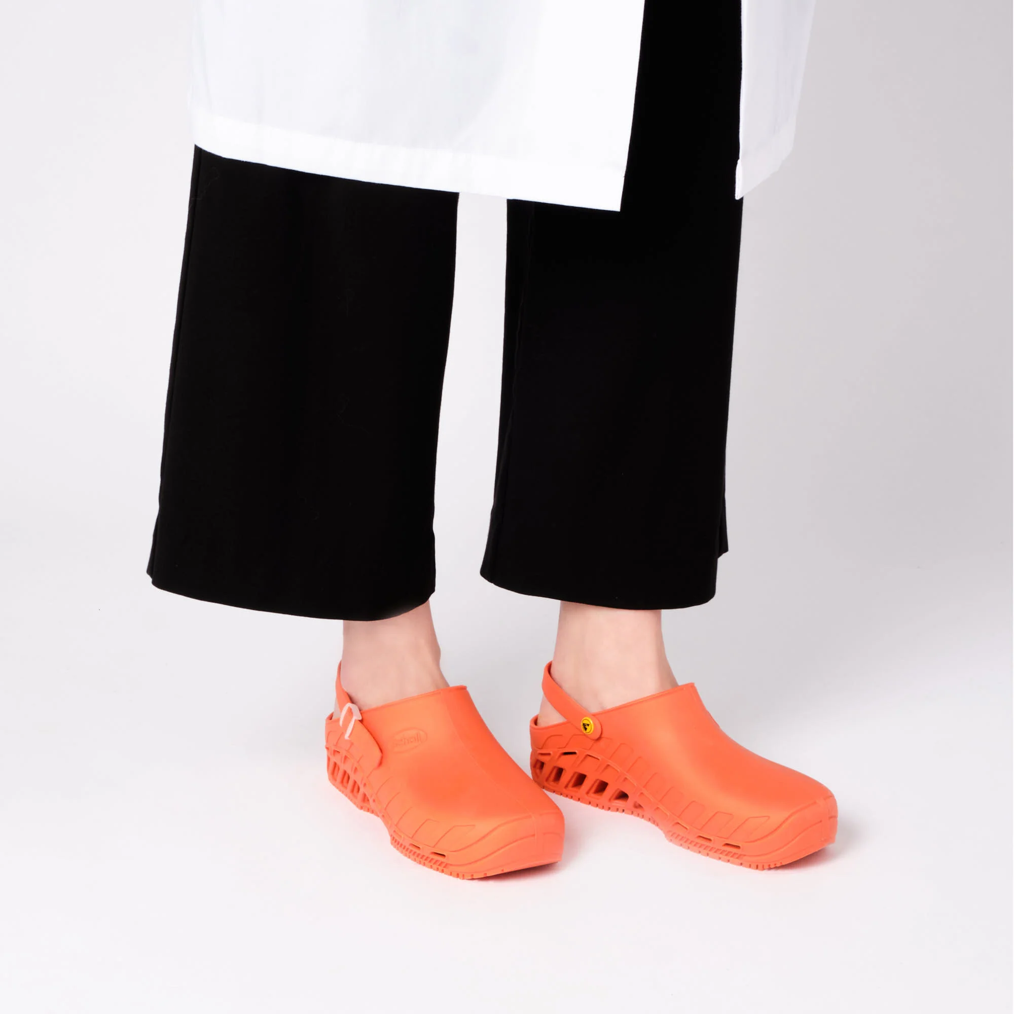 CLOG EVO - Image 5
