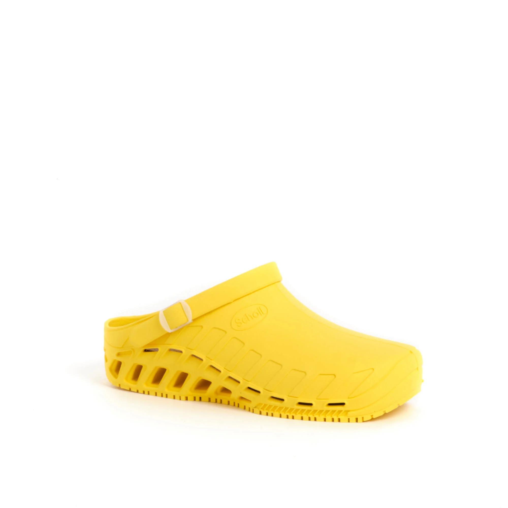 CLOG EVO - Image 2