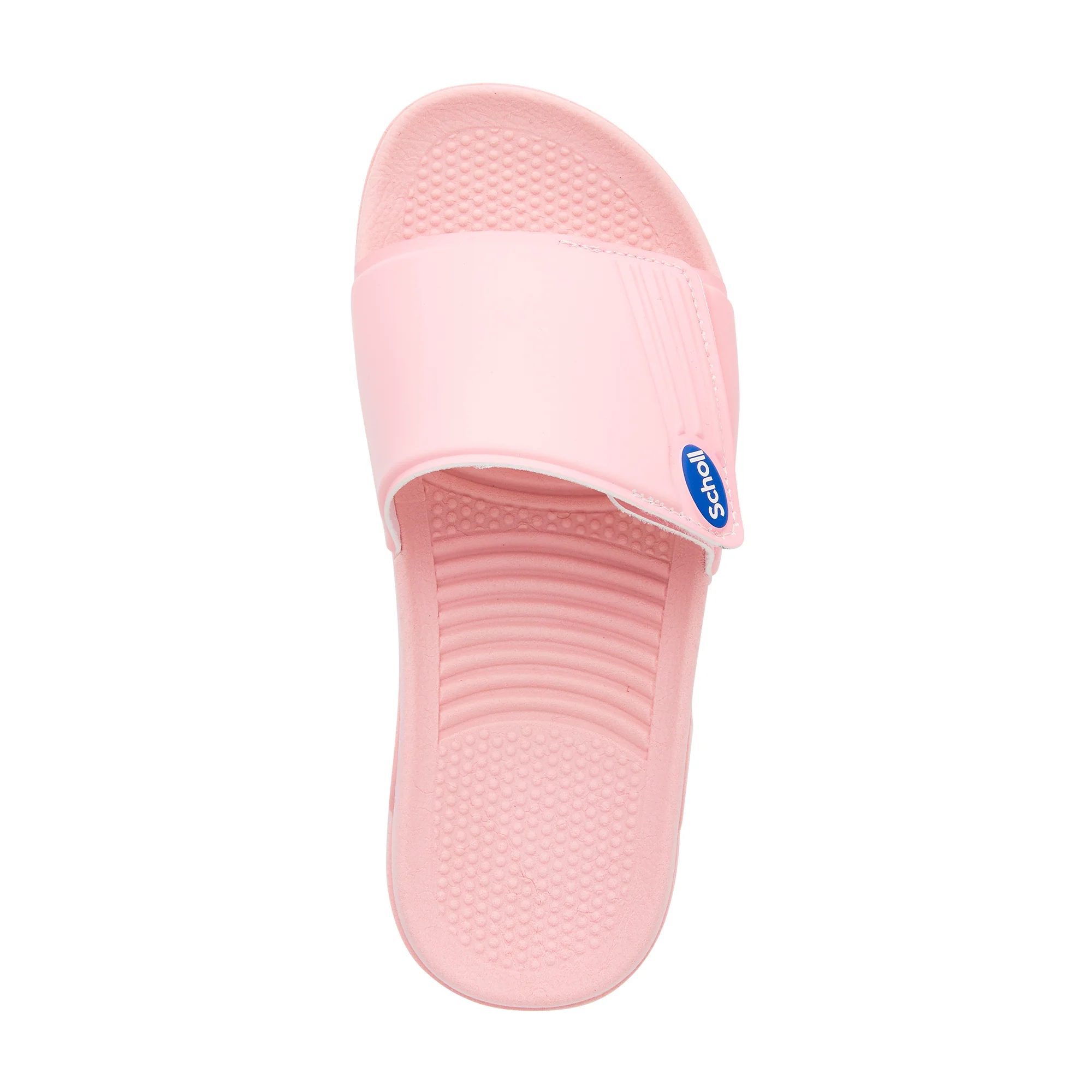 Scholl Nautilus - Image 3