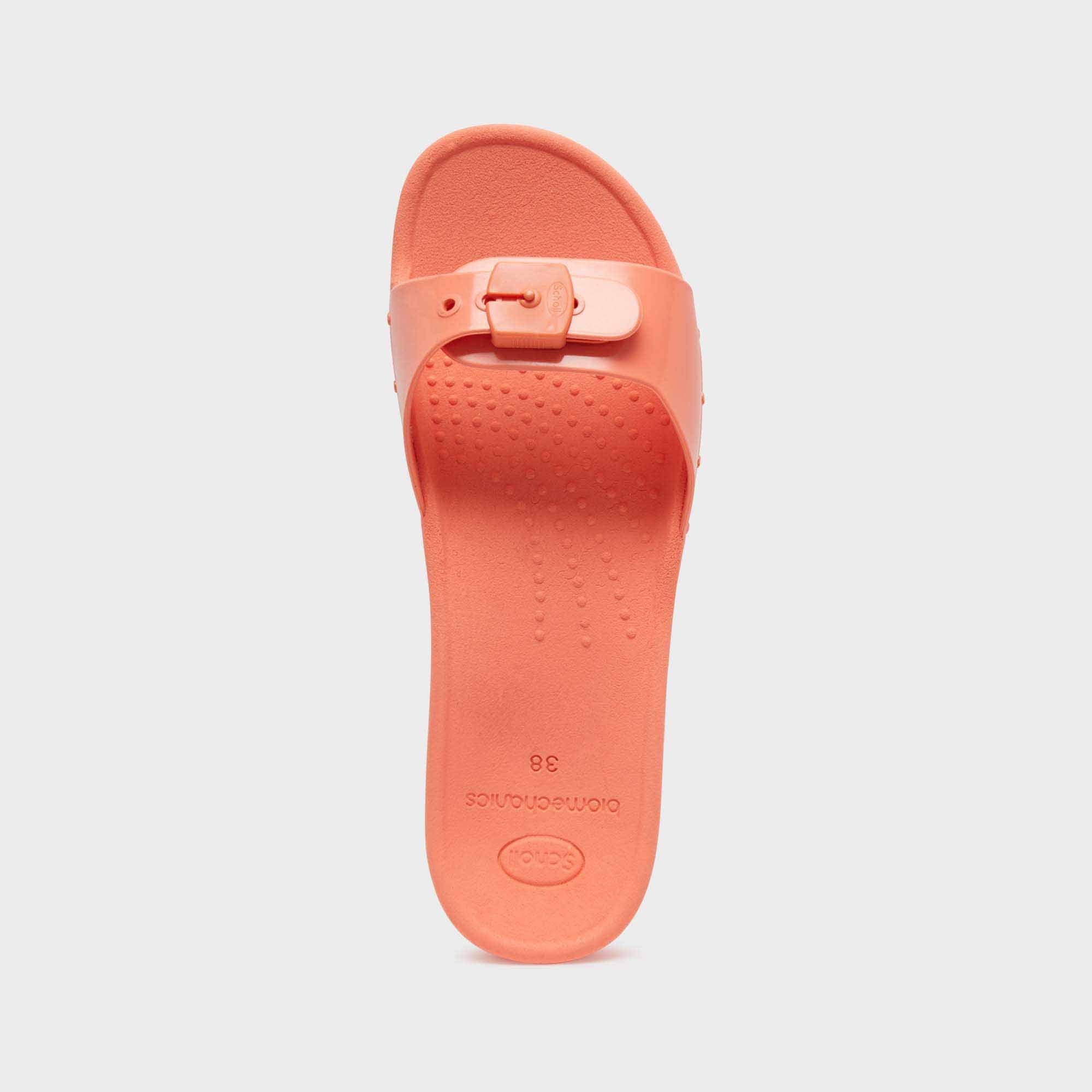 Scholl Sun - Image 4