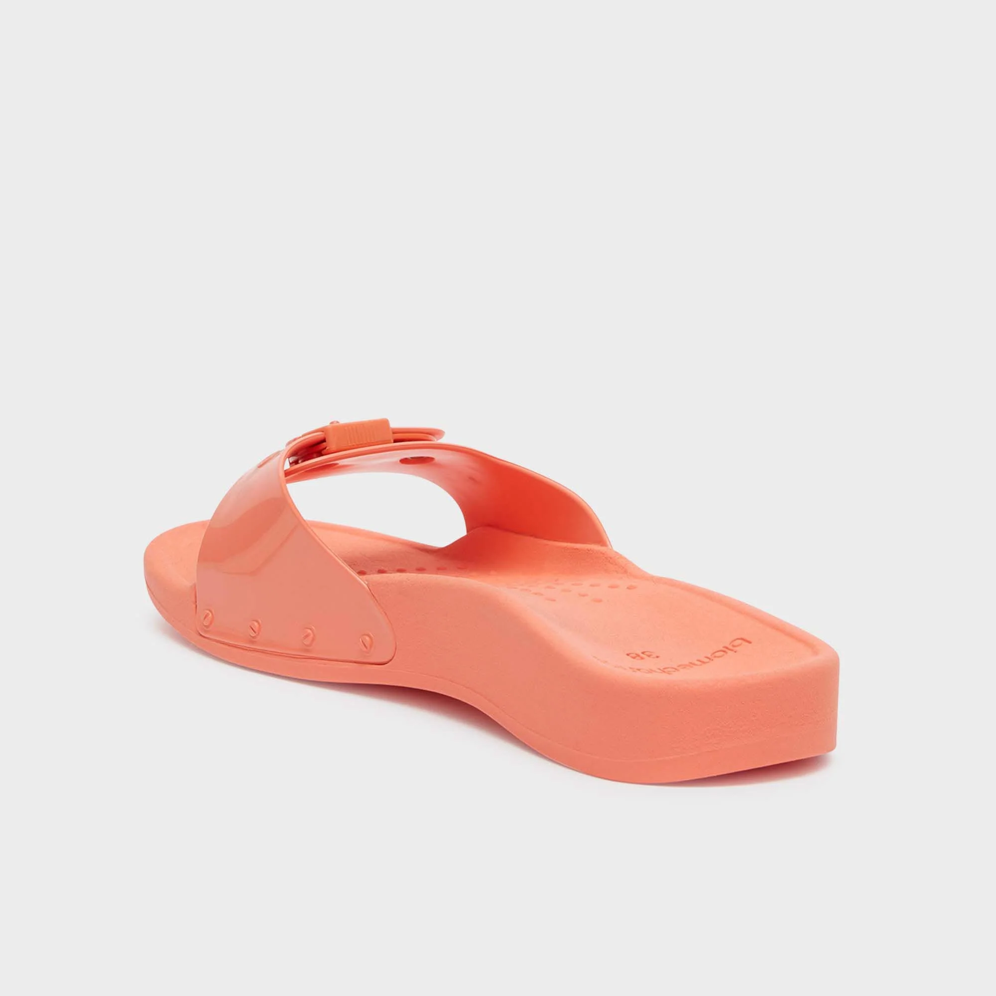 Scholl Sun - Image 5